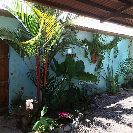 Sueno Grande B&B Puerto Viejo de Talamanca Екстер'єр фото