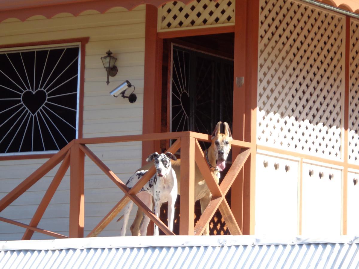 Sueno Grande B&B Puerto Viejo de Talamanca Екстер'єр фото