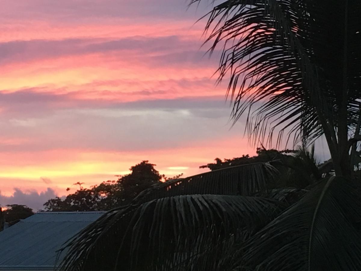 Sueno Grande B&B Puerto Viejo de Talamanca Екстер'єр фото